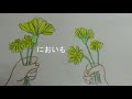 孫　「たんぽぽの天ぷら」