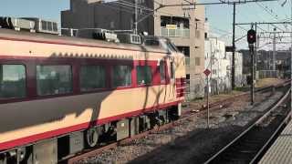 2013鎌倉初詣臨時列車　183系12連　横浜・鎌倉