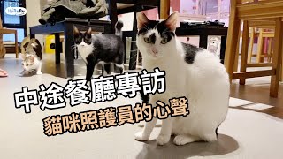 Hururu中途餐廳專訪｜貓咪照護員的心聲 feat.咪可思貓餐廳