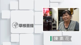 【草根菩提】20181227 - 樸素心花開