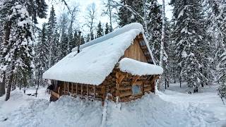 WILD FOREST SURVIVOR Lives Off the Grid in log cabin