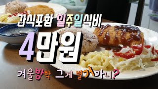 [알뜰한가계부] #21 일주일식비 4만원 / 먹고싶은거 다 먹고 절약하기 / 식비절약 집밥해먹기 / 냉장고파먹기 / korean home meal