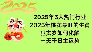 乙巳年運勢｜2025年運勢｜蛇年運勢｜犯太歲｜2025年5大熱門行業｜十天干日主運勢｜2025年預測｜直播剪輯