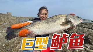 【English sub】小章赶海惊动银色大物，瞬间暴怒在水坑四处乱窜，根本控制不住！【赶海小章】