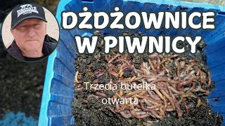 Otworzyłem trzecią butelkę. Czy warto tak prowadzić hodowlę? I coś jeszcze...nowy domek z odciekiem.