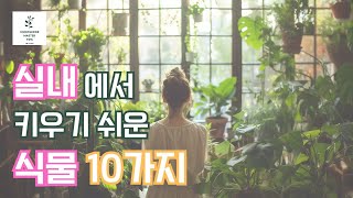 실내에서 키우기 쉬운 식물 10가지