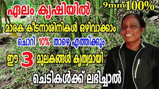 കൃഷിയിൽ വില തകർച്ചയെ മറികടക്കാ൦ ഈ കാര്യങ്ങൾ അറിഞ്ഞിരുന്നാൽ | Plant nutritions | Njaanoru Malayali