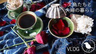 【vlog＃1】文鳥３羽と夫婦の暮らし/ねぎソース/甘いフルーツとグラノーラ