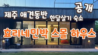 🌴정자매와 제주도 한달살기 숙소 공개 ) 제주도 애견동반 숙소 / 제주도 애견동반 한달살기 숙소/ 제주 애견동반 풀빌라 / 효리네민박