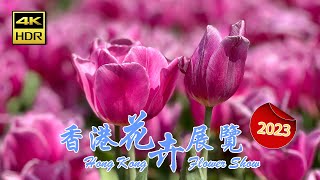 香港花卉展覽｜維多利亞公園 • Hong Kong Flower Show 2023 • 主題花 : 繡球花