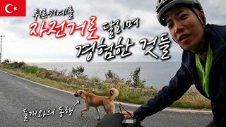 What i had experience when I riding south of Turkey (Feat. Wild dog) 【Bicycle World Travel 96】