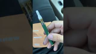 Raw Garden Blueberry Mojito Disposable Vape Review