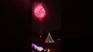 宮ヶ瀬クリスマスイルミネーション点灯式花火大会🎇