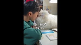 这这这…谁能抗拒的了？🥹🥹#记录猫咪日常 #宠物和孩子 #治愈猫咪