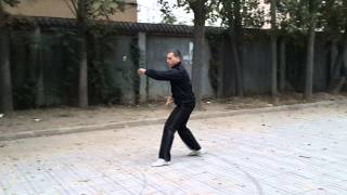 Hebei Xingyi Quan Wu Xing Lian Huan Quan - 2014