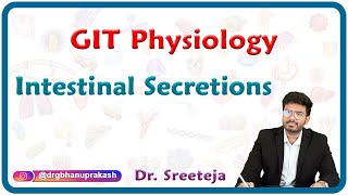 Intestinal Secretions : Gastrointestinal physiology USMLE Step 1