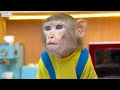 monkey rio pretend doctor to take care and remove sticker for cute duckling animal monkey rio