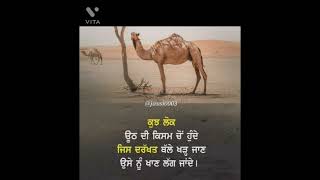 ਕੁਝ ਲੋਕ,whatapp status ,sad status punjabi stories