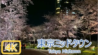 [4K花見] 2020 六本木 東京ミッドタウン(檜町公園) Tokyo Midtown, Roppongi [Cherry Blossom (Sakura) ]