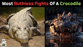 10 Strongest Opponents for a Crocodile