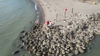 Municipality Of Pulupandan (Paco Beach) Aerial View