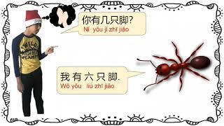 Fun learning Chinese- Feet有趣学中文-脚， 猜一猜-这是谁的脚？Tebak kaki siapakah ini?