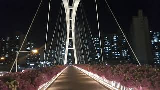 The landscape of Korea [동네한바퀴] Seoul.Korea 서울 도봉구 창동 (중랑천 산책로)