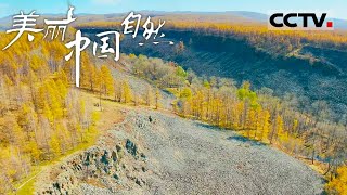 《美丽中国自然》阿尔山的自然奇观：龟背状熔岩的地质奥秘 蒙东系列【CCTV纪录】