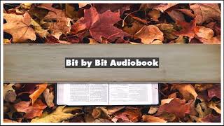 Jeffrey Tucker Bit by Bit Audiobook