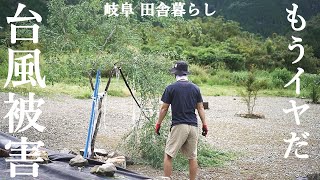 台風被害受けました、ミモザ・シマトネリコ、ガレージのドアにペンキを塗るDIY、岐阜県土岐市の織部ヒルズで器を買う【田舎暮らし094】