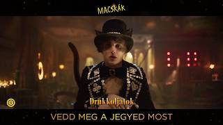 Macskák - magyar nyelvű videó