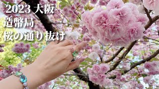 【造幣局桜の通り抜け2023】お花見の帰りは絶品「そば切り 文目堂」｜クリスタルイグナイトシリーズを着けて♡｜Osaka, Japan