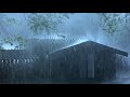 quality sleep with powerful rainstorm sounds u0026 thunder shaking on fragile tin roof in dark forest