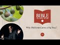 Why Did Jesus Curse a Fig Tree? - Mark 11