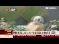 星際迷照過來！bb8機器人獨家實測│三立財經台ch88