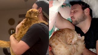 Rescue Cat Prefers Dad To Mom