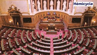 Elections sénatoriales 2023 : Quel est le rôle des sénateurs ?