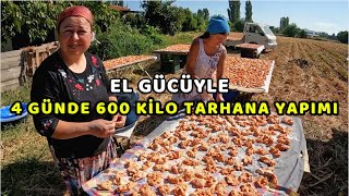 4 GÜNDE 600 KİLO TARHANA YAPIMI | EL GÜCÜYLE BOL MALZEMELİ EGE USULÜ ENFES TARHANAMIZ ŞİFA DAĞITACAK