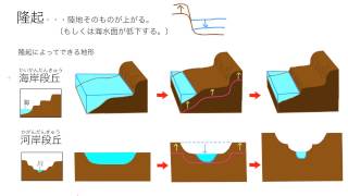 【地層と生物】大地の変動