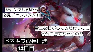 【LOL・JG】ジャングル初心者必見‼ヌヌジャングルの極意