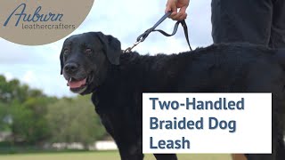 Two-Handled Braided Leather Dog Leash