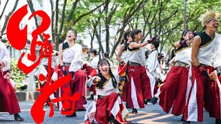 【公式】踊り侍 24 NEVER 原宿表参道元氣祭スーパーよさこい 表参道アヴェニュー