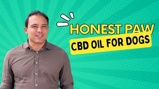 Honest Paws - CBD Oil for Dogs