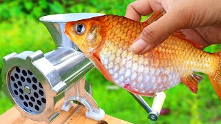 Experiment: Gold Fish vs Meat Grinder