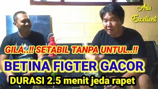 TIPS Dan TRIK LOVEBIRD FIGTER BETINA SIMPLE MAIN TIAP HARI SETABIL DURASI 2.5 MENIT TANPA UNTUL