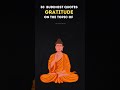 30 Buddhist quotes on the topic of Gratitude