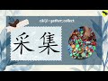 wild swan 野天鹅 chinese story for beginners with english subtitles.