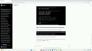 python add argument to script
