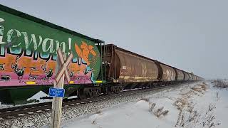 VERY FAST!! CN Grain train East near Viking, Alberta @ mile 188.26 on Wainwright Sub Dec. 19, 2022