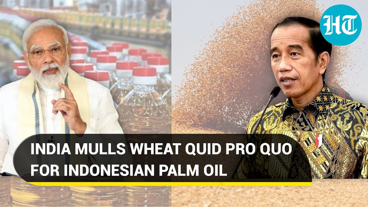 Indian wheat in exchange for Indonesian palm oil? Modi govt mulls strategy to tame inflation